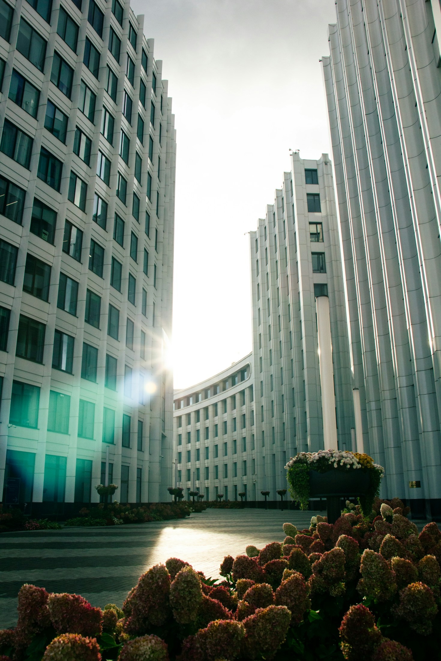 How Automation Shapes the Future of Work